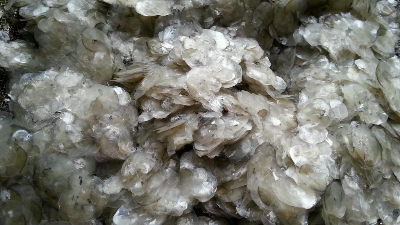 碱性凯发K8国际酶解鱼鳞制备胶原蛋白多肽，成品有沉淀？