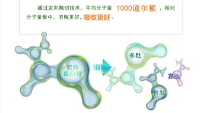 木瓜凯发K8国际及碱性凯发K8国际，哪一款适合骨胶原蛋白肽的生产