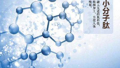 关于蛋白质与蛋白肽的区别，您有了解多少？